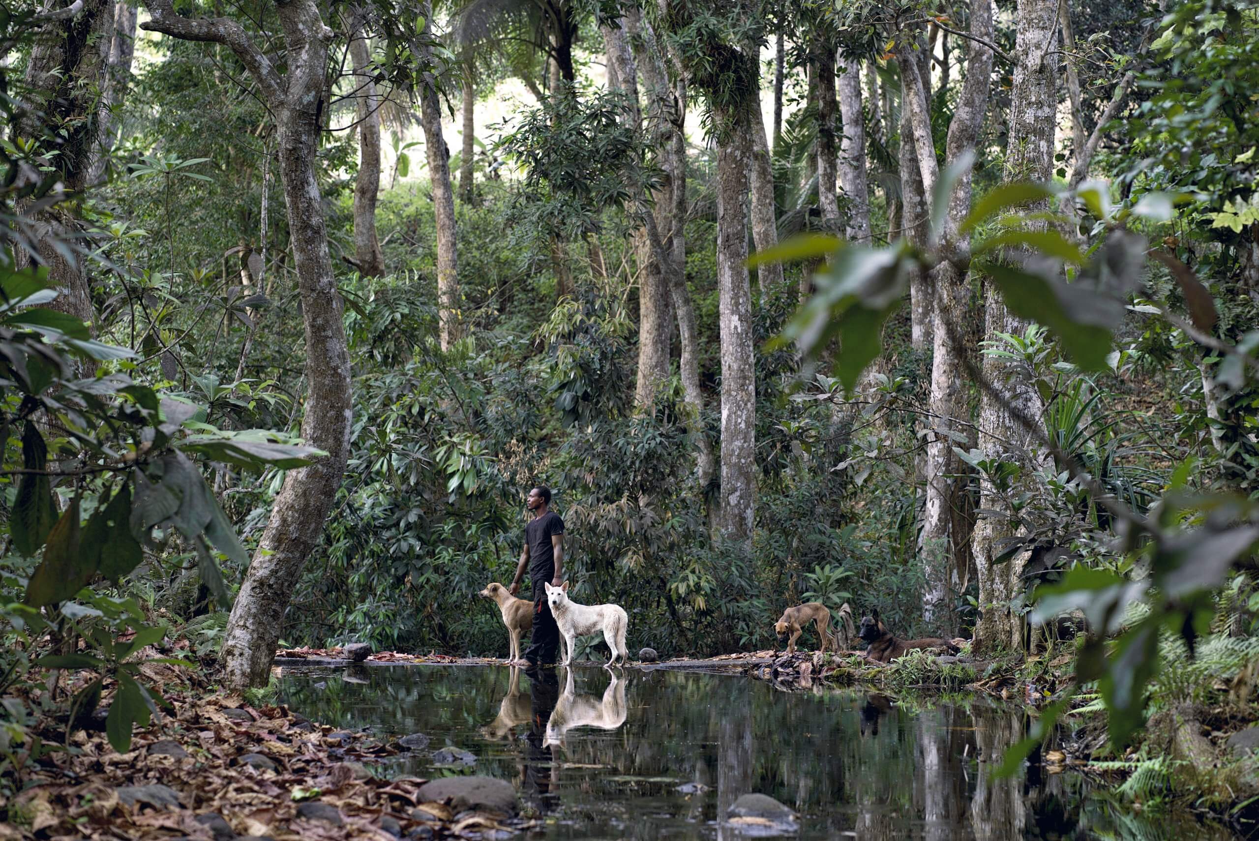 Photo d'un homme et deux chiens à Mayotte par Laura Henno