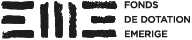 Logo de Fonds de donation Emerige