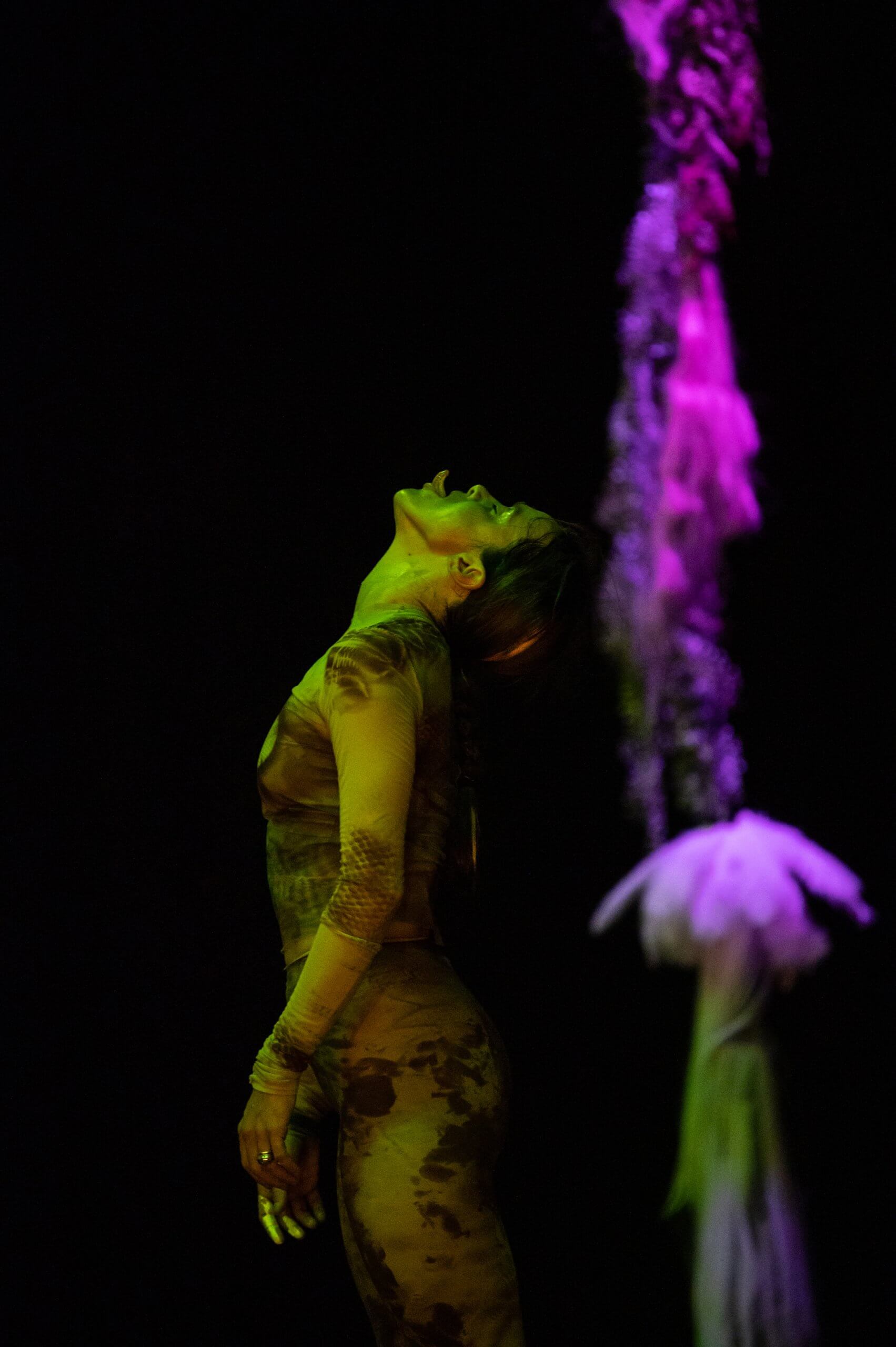 La notte è il mio giorno preferito