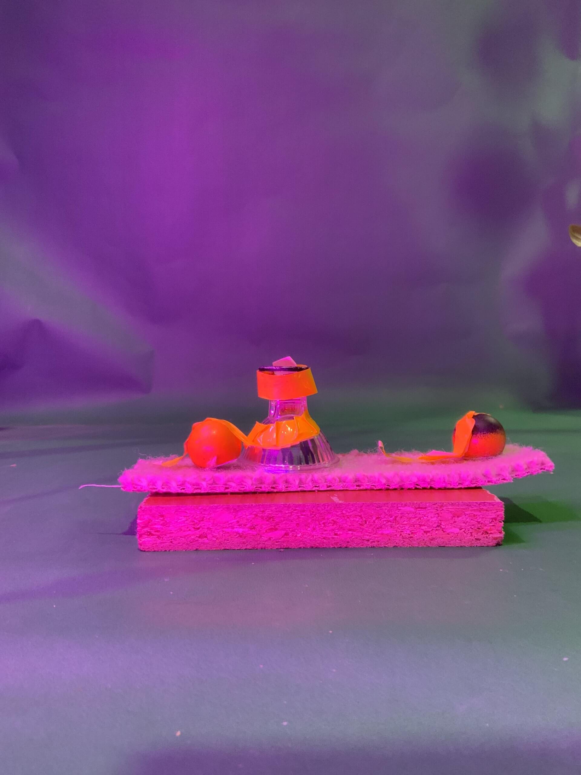 Un petit arrangement de morceaux de fruits orange et une bouteille en verre sont présentés sur un tapis rose duveteux au sommet d'une plate-forme rectangulaire rose, le tout sur un fond violet et vert.