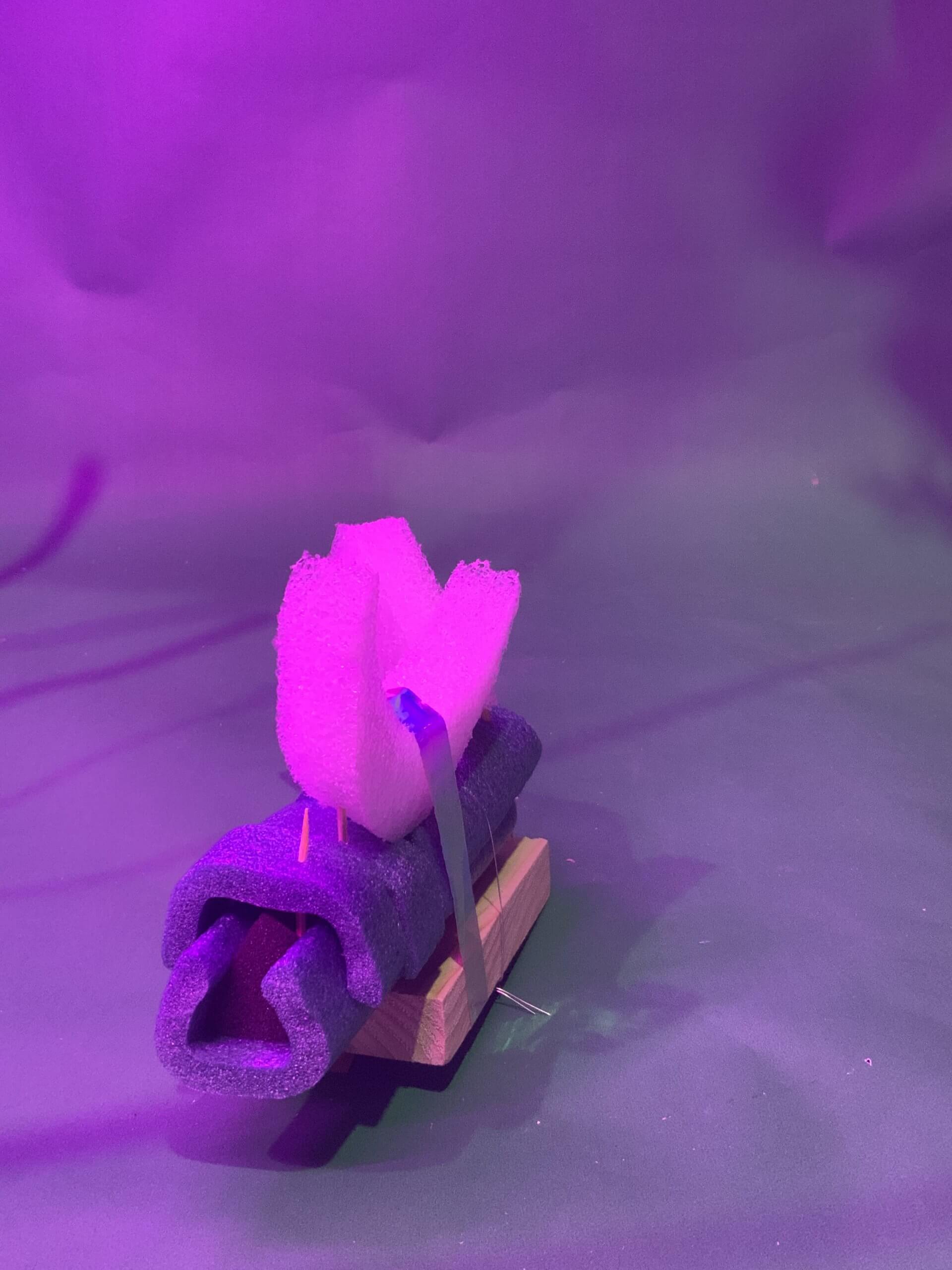 Une petite sculpture composée de mousse violette, d'un bloc de bois, d'une éponge rose et d'un ruban bleu, assemblés et placés sur une surface verte avec un éclairage violet.