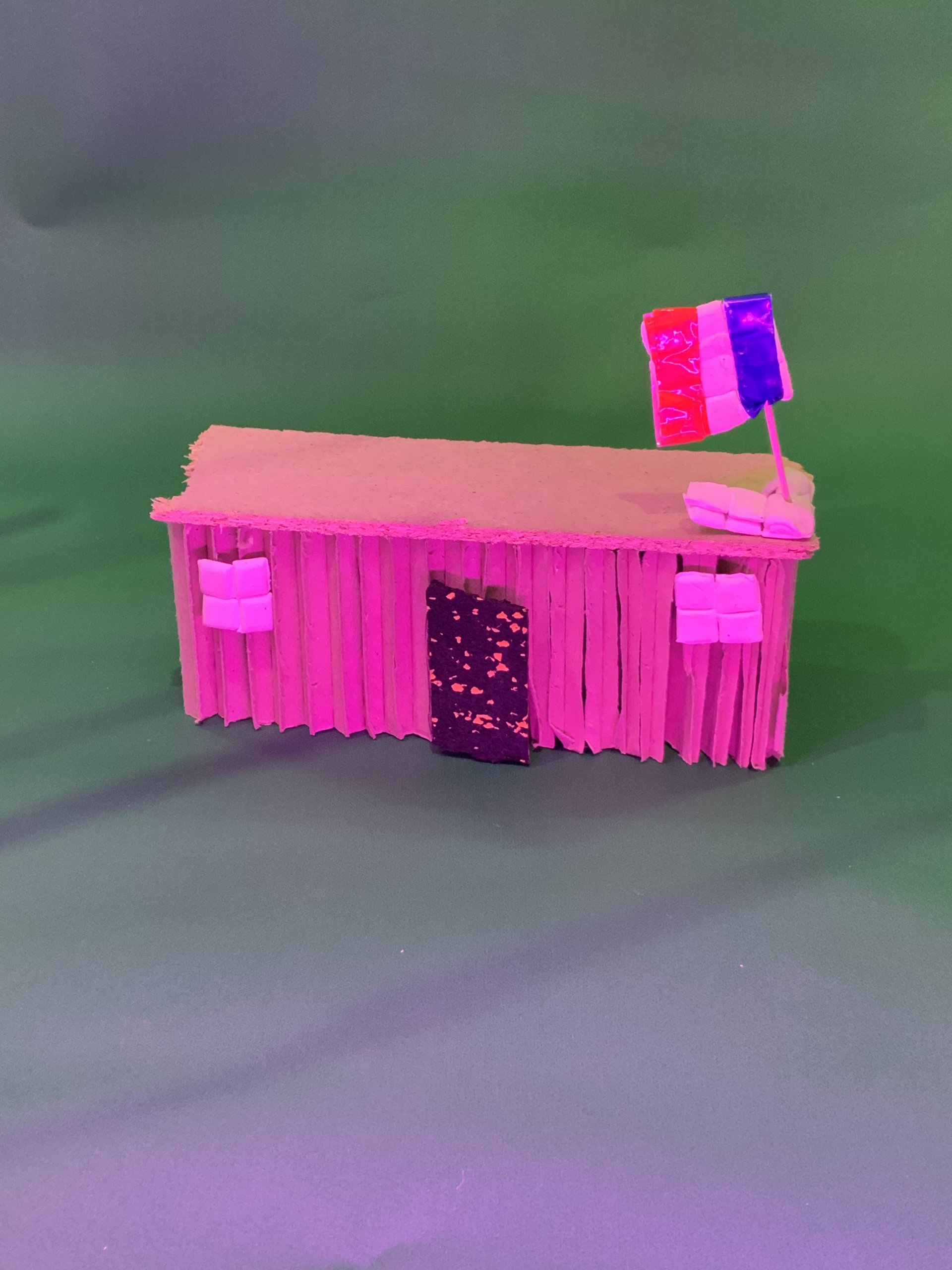 Une petite maquette de maison en carton et bâtons avec deux petites fenêtres, une porte noire et un cure-dent tenant un drapeau rouge, blanc et bleu sur le toit, sur un fond vert avec un éclairage rose.