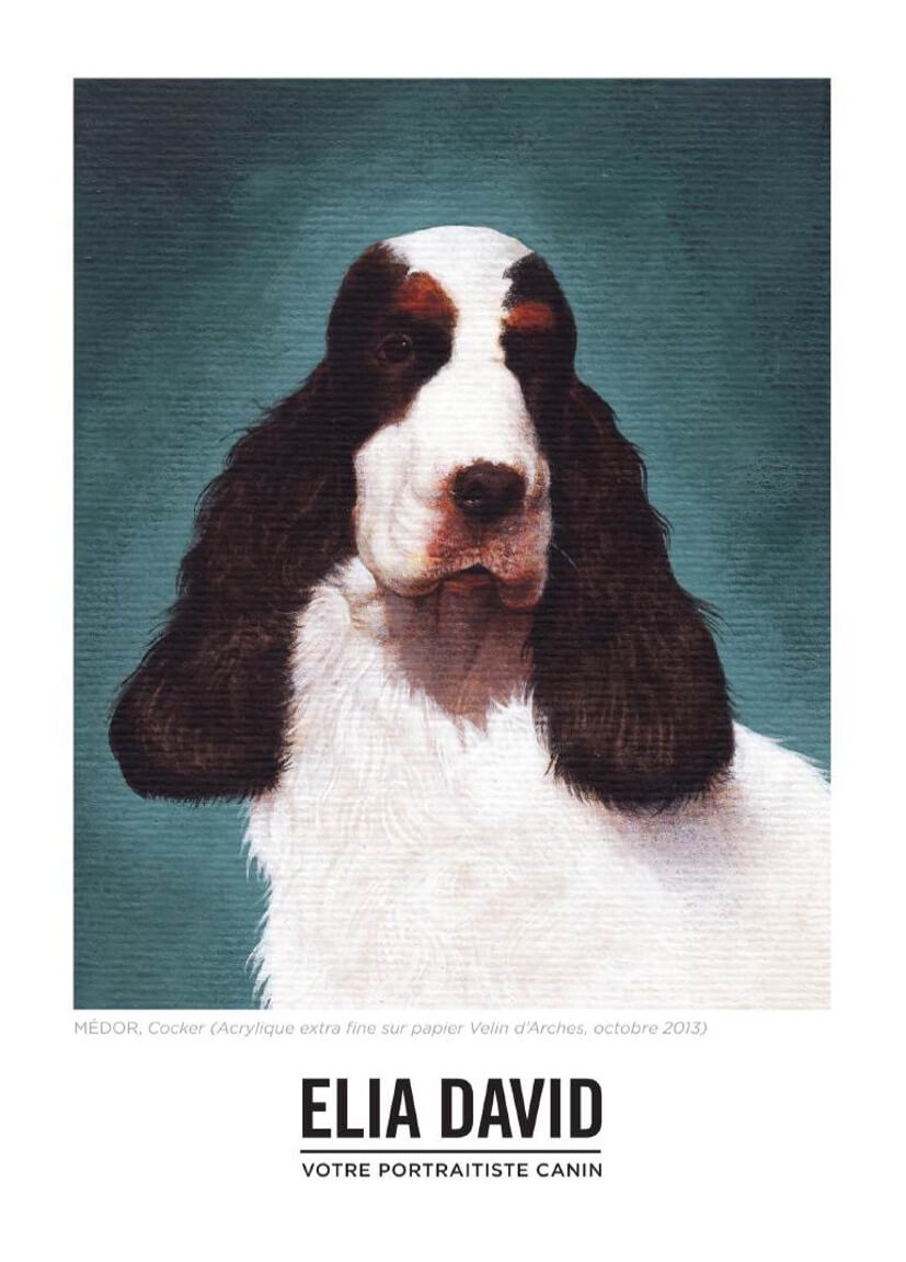 A realistic painting of a black and white cocker spaniel dog against a teal background. Below the image, French text credits the artist Elia David as a canine portraitist.