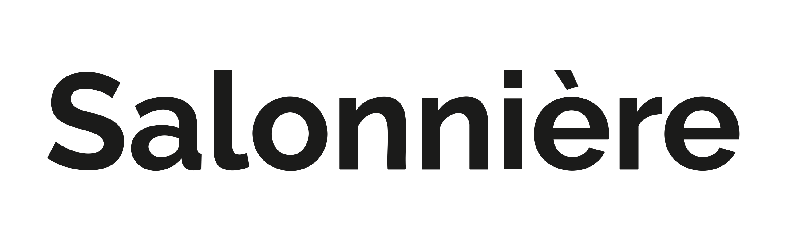 The word Salonnière is displayed in bold black letters on a white background.
