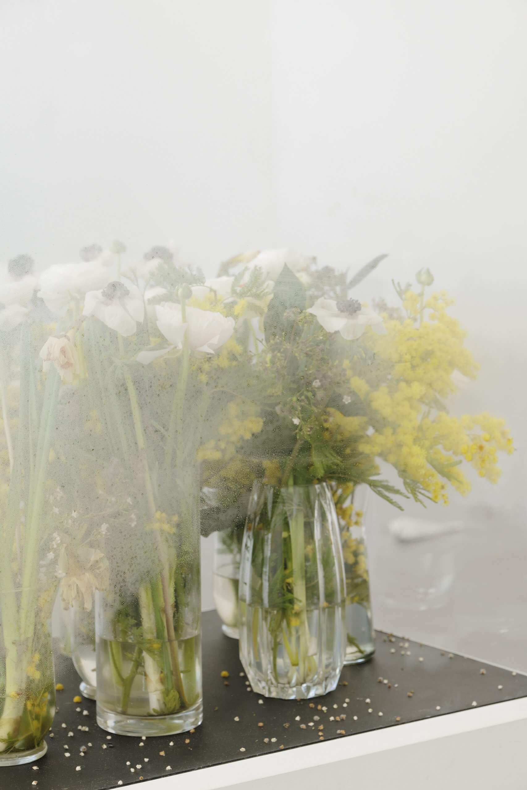 Plusieurs vases en verre remplis de fleurs blanches et jaunes sont disposés sur une surface noire, un léger brouillard ou de la condensation obscurcissant partiellement la vue.