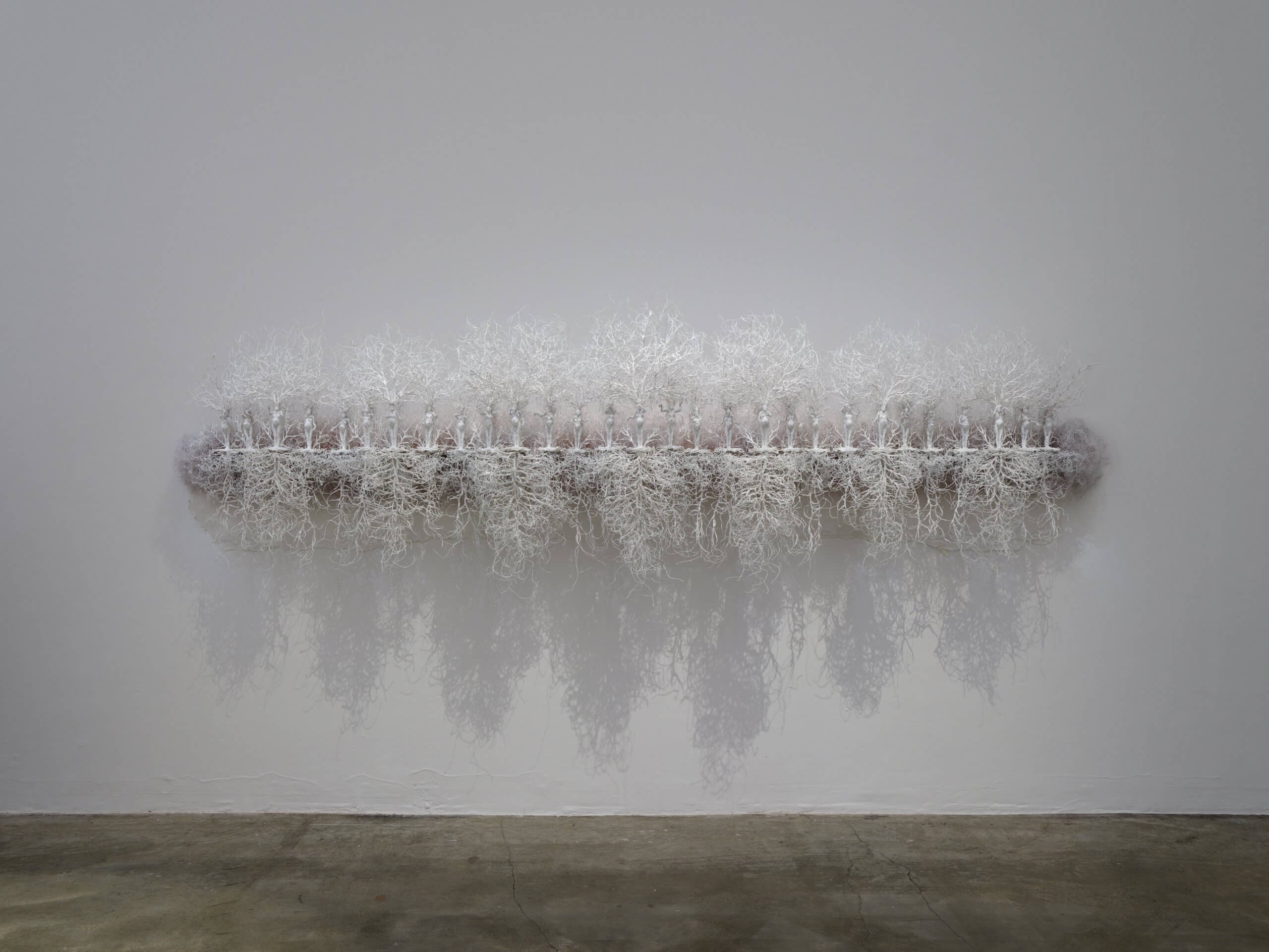 Sculpture horizontale de branches d'arbre blanches et sans feuilles, montée sur un mur, avec des structures complexes ressemblant à des racines qui projettent des ombres sur un fond gris uni.