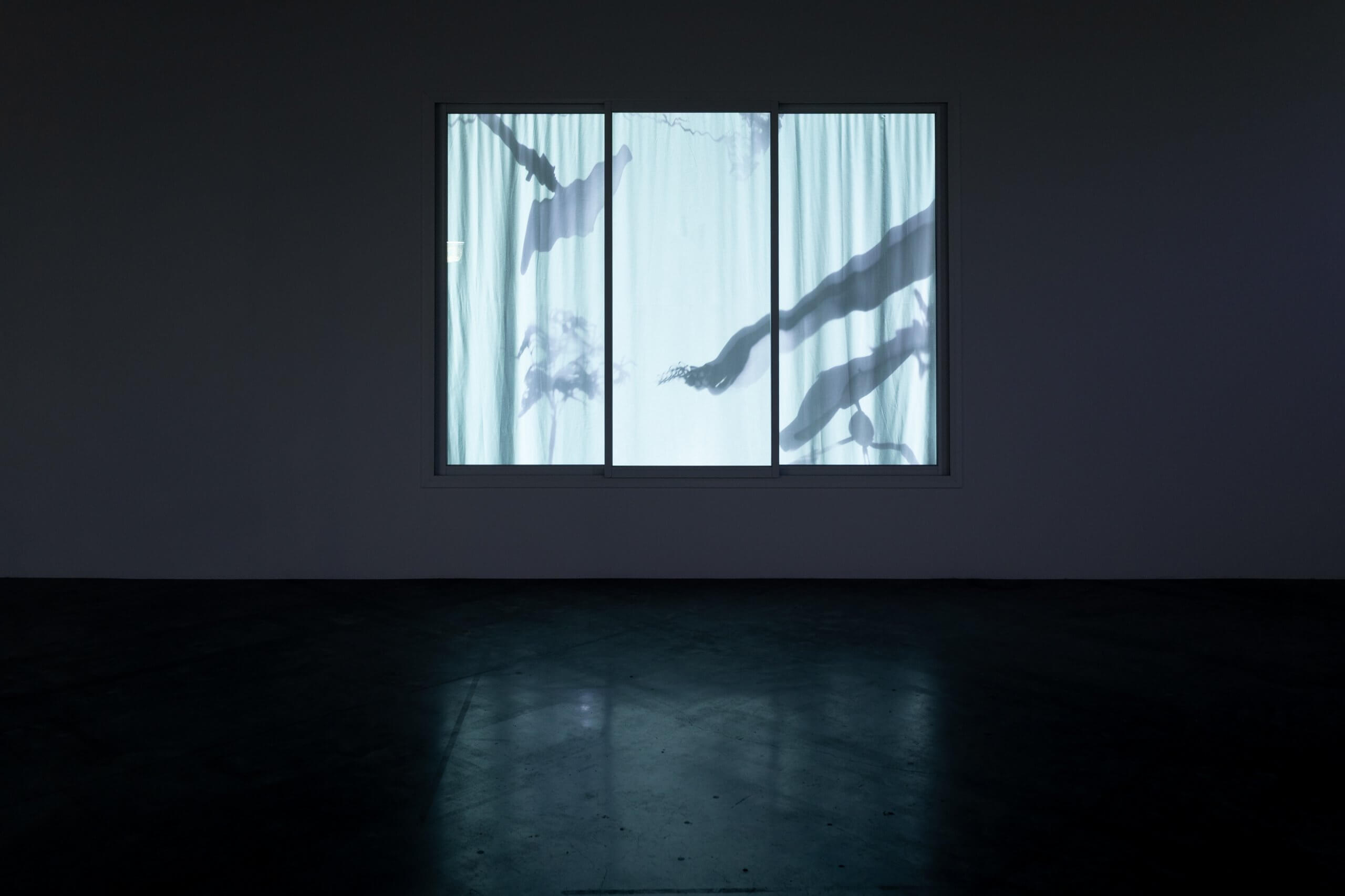 Une pièce sombre avec une fenêtre éclairée montrant des rideaux translucides et des silhouettes de mains et de bras traversant la vitre.