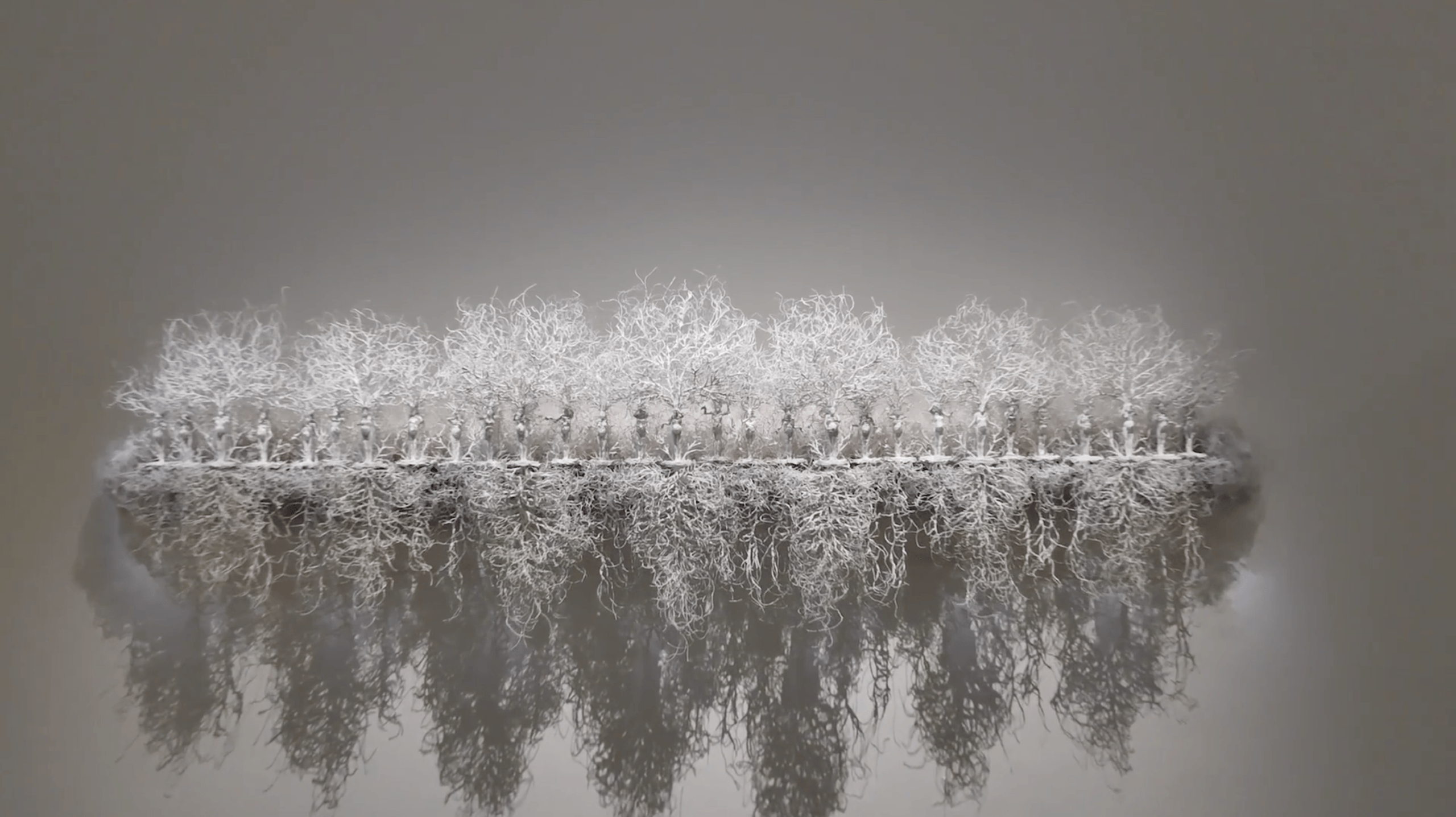 Une rangée de sculptures d'arbres blancs dépourvus de feuilles est présentée sur un fond uni, avec des ombres reflétées en dessous, ressemblant à une scène de forêt hivernale.