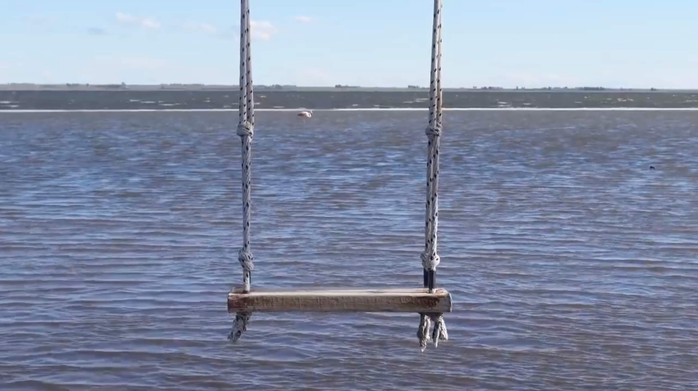 Une balançoire en bois avec des poignées en corde est suspendue au-dessus d'une eau calme, avec l'horizon et un ciel clair en arrière-plan.