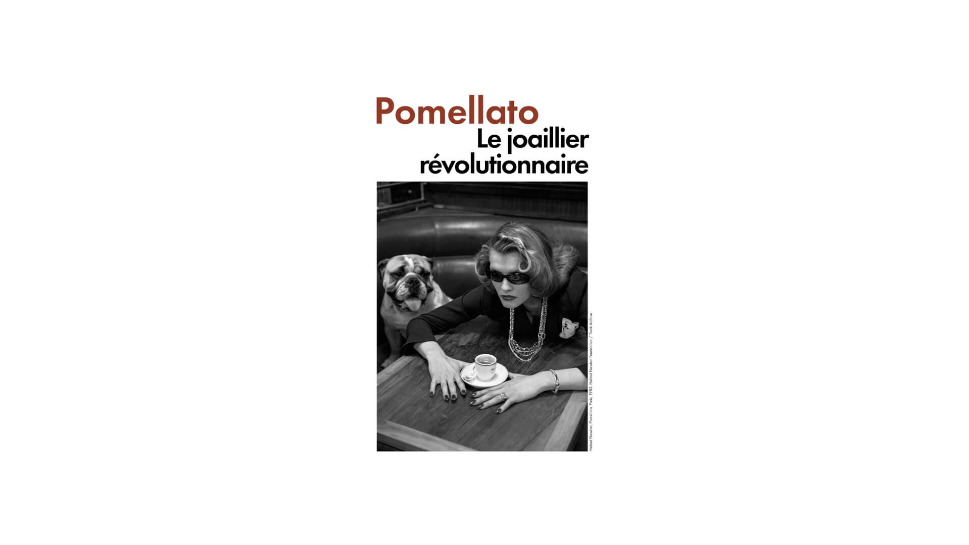 Une femme portant des lunettes de soleil est assise à une table avec une tasse de café et cherche quelque chose, tandis qu'un chien est assis à côté d'elle. Le texte au-dessus indique Pomellato Le joaillier révolutionnaire.