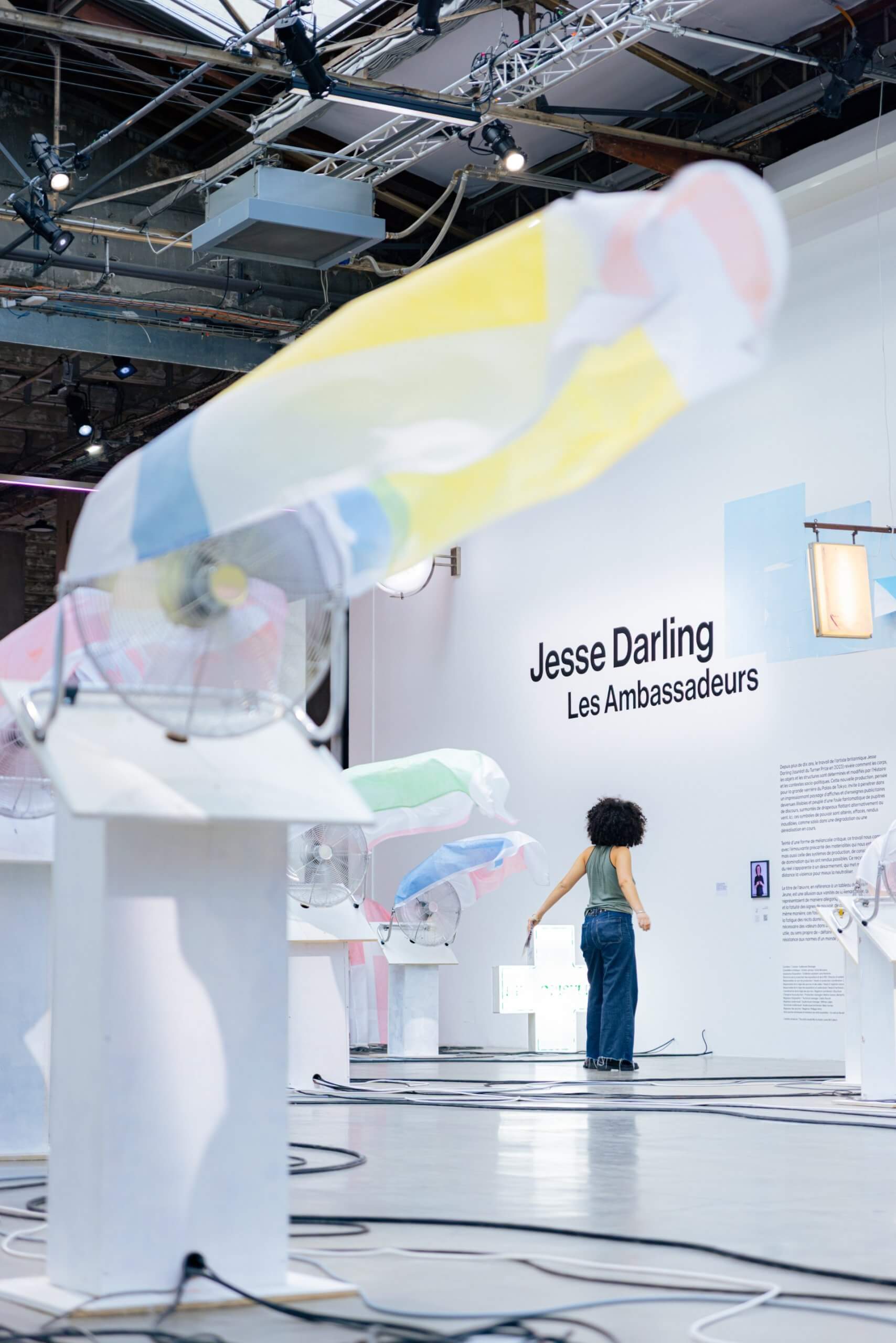 A person stands in an art gallery with fabric pieces blown by fans; the wall text reads Jesse Darling Les Ambassadeurs.